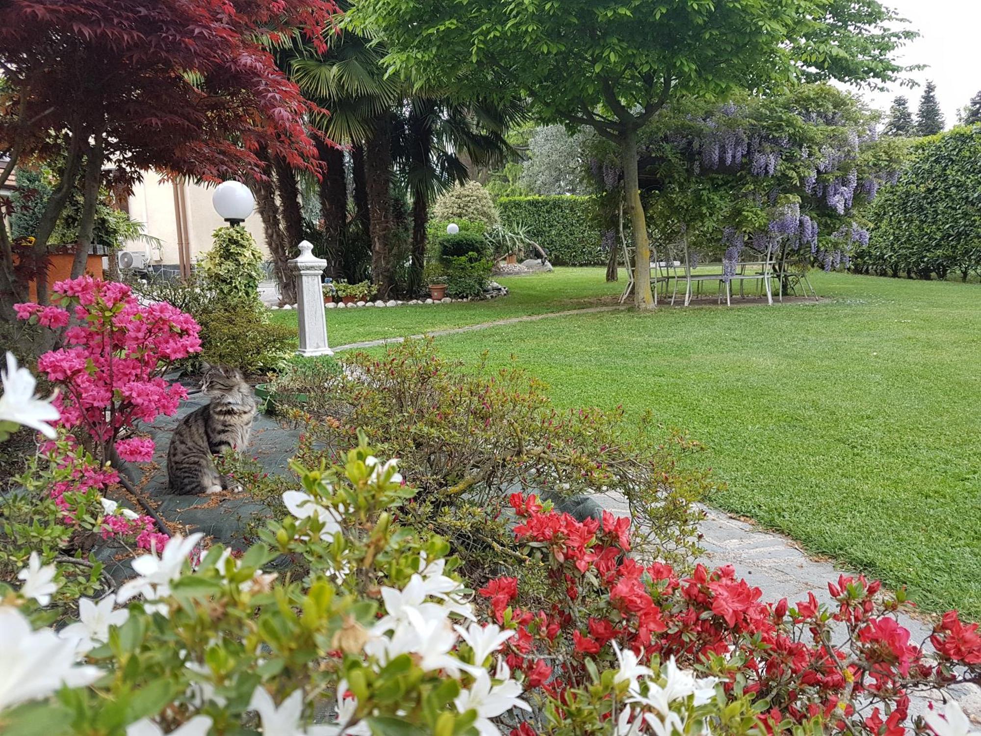 Le Palme Bed & Breakfast Appiano Gentile