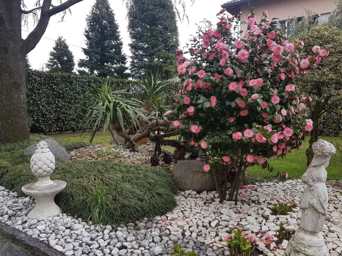 Bed and breakfast Le Palme Appiano Gentile
