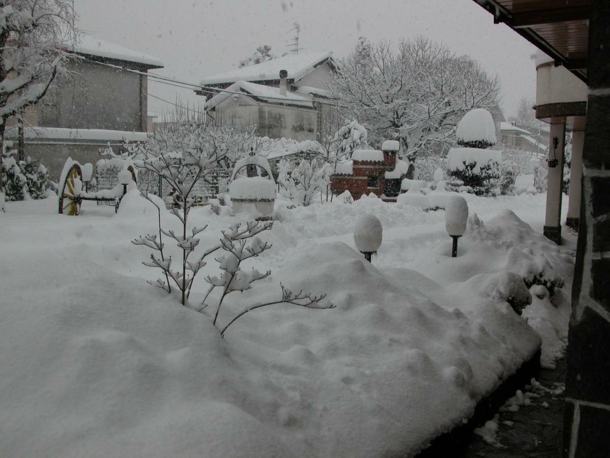 Le Palme Bed and breakfast